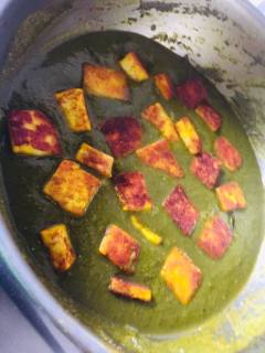 palak-paneer-recipe-step-6(7)