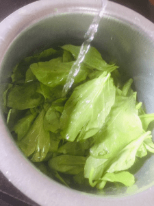 palak-paneer-recipe-without-onion-garlic-step-2(2)