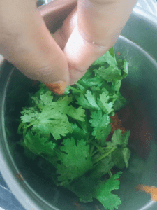 palak-paneer-recipe-without-onion-garlic-step-5(1)