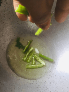 palak-paneer-recipe-without-onion-garlic-step-6(2)