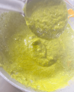 palak-paneer-recipe-without-onion-garlic-step-6(5)