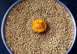 home-made-coriander-powder-dhaniya-powder-ghar-par-kaise-banaye