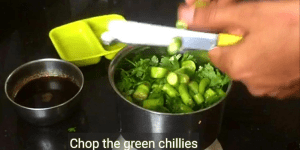 coriander-green-chutney-recipe